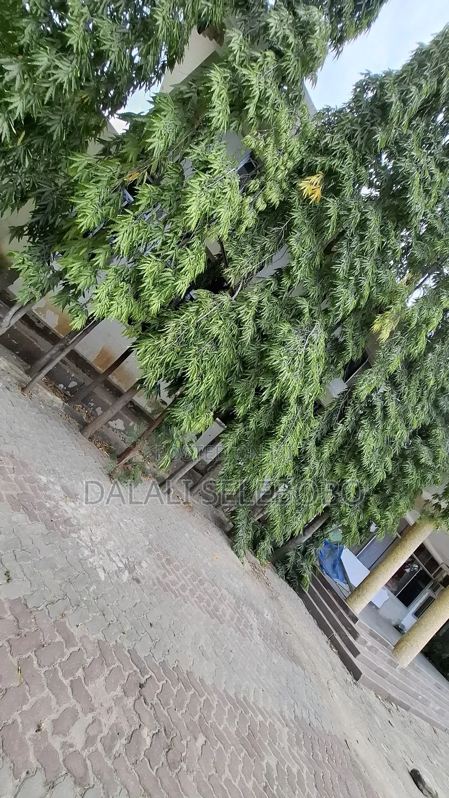 1bdrm Bedsitter in Mbezi Beach Makonde for rent
