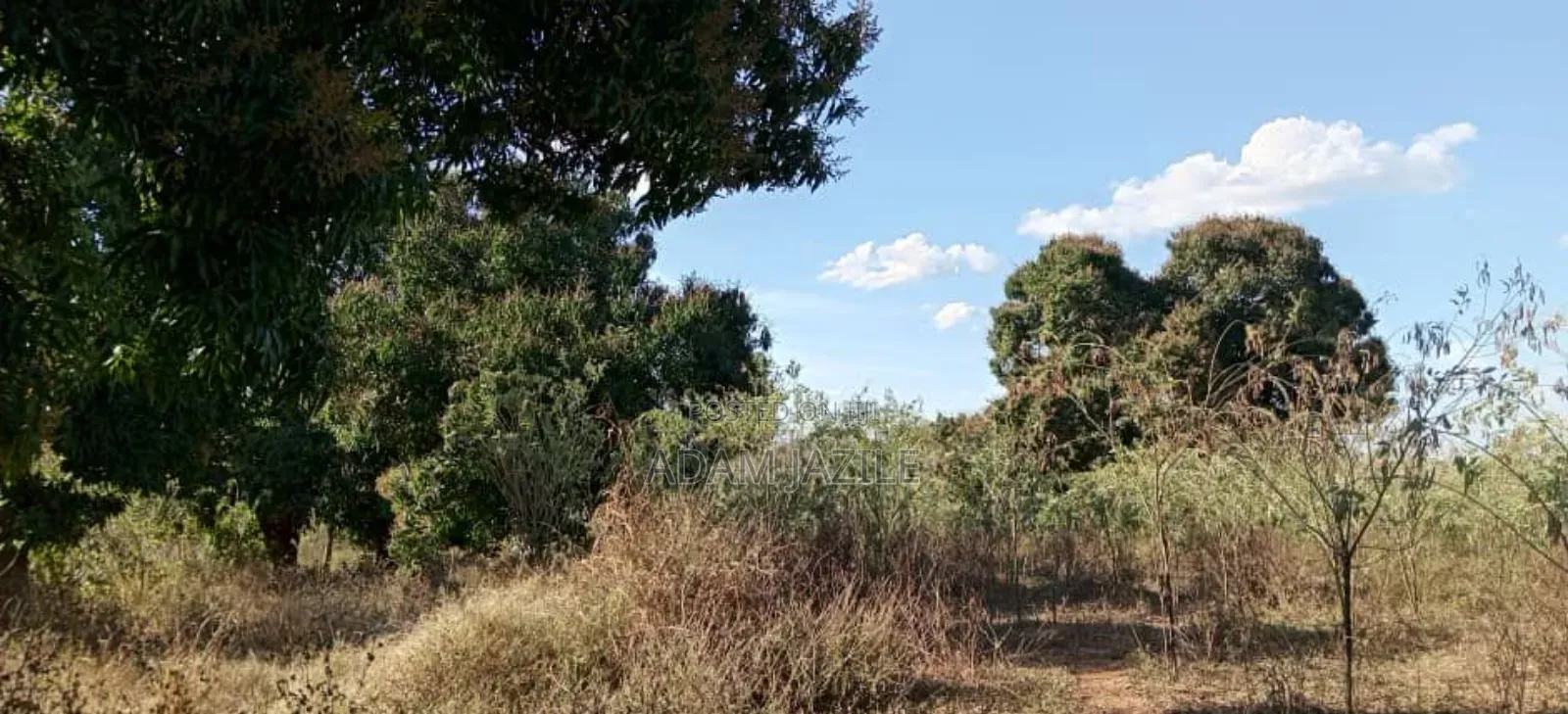 Shamba Lianauzwa Mbwewe Chalinze Pwani