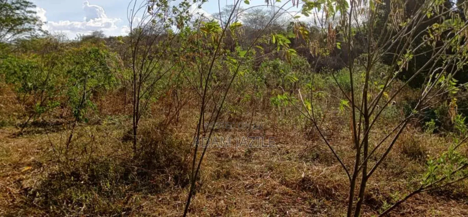Shamba Lianauzwa Mbwewe Chalinze Pwani