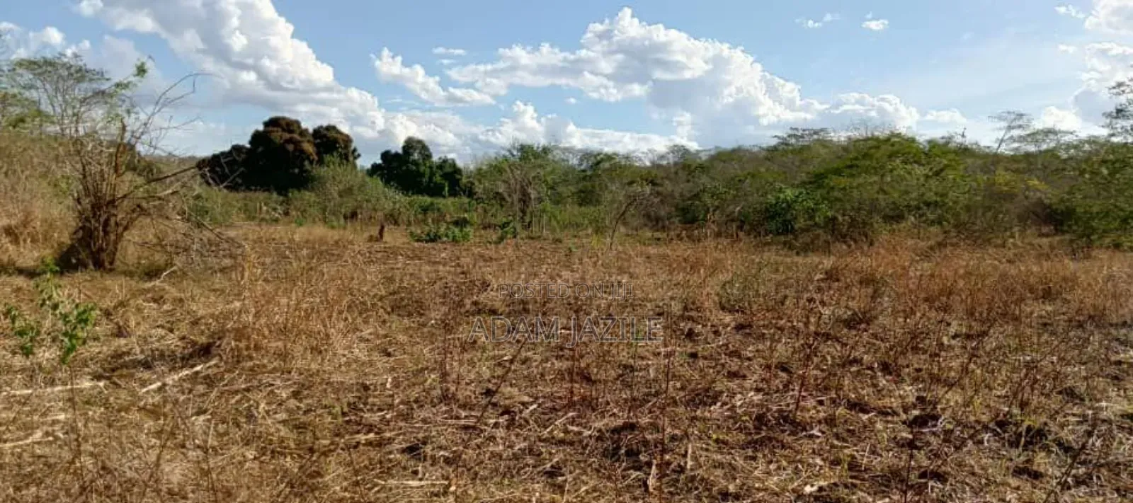 Shamba Lianauzwa Mbwewe Chalinze Pwani