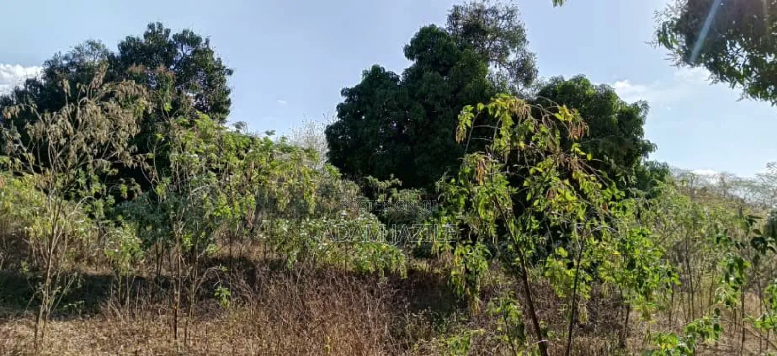 Shamba Lianauzwa Mbwewe Chalinze Pwani
