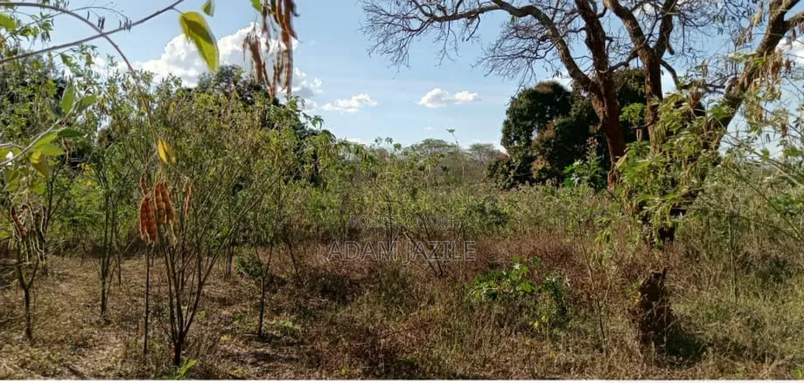 Shamba Lianauzwa Mbwewe Chalinze Pwani