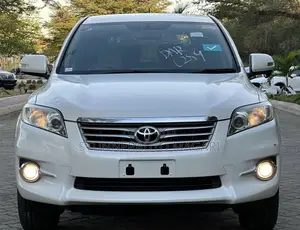 Toyota Vanguard 2010 Pearl