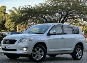Toyota Vanguard 2010 Pearl