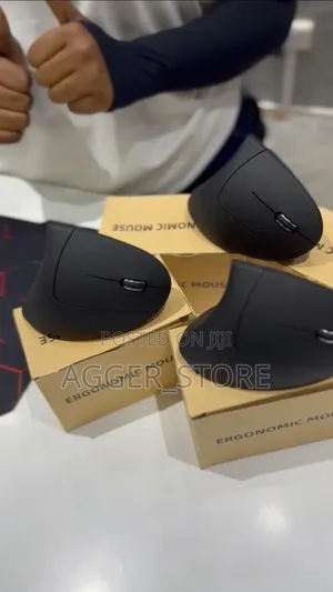 Ergonomic Mouse (Effective Protection of Wrist Health )