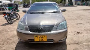 Toyota Corolla RunX 1.5 X AWD 2007 Gray