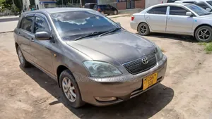 Toyota Corolla RunX 1.5 X AWD 2007 Gray