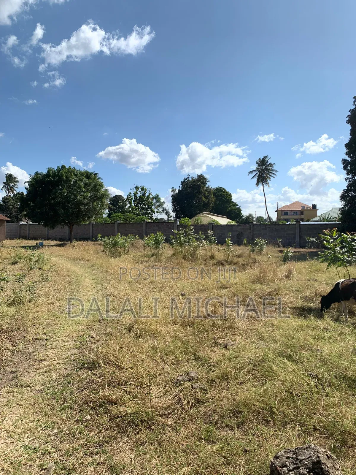 Kiwanja Kinauzwa Africana 2700 SQMS