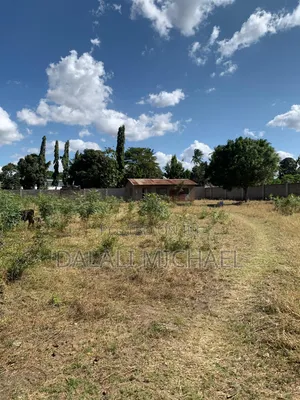Kiwanja Kinauzwa Africana 2700 SQMS