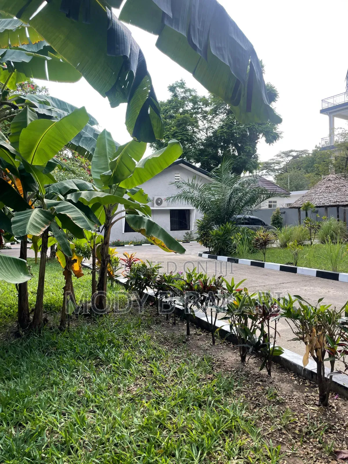 3bdrm House in Mikocheni for rent
