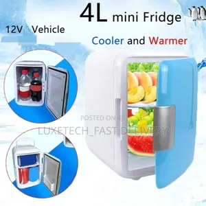 Portable 4 Liters Car Fridge–Cooler and Warmer for Travel, Home/Office