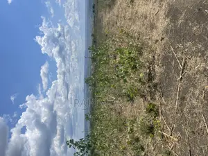 Shamba Linauzwa