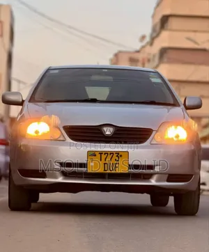 Toyota Allex 2004 Silver
