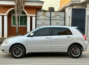 Toyota Allex 2004 Silver