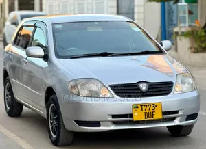 Toyota Allex 2004 Silver