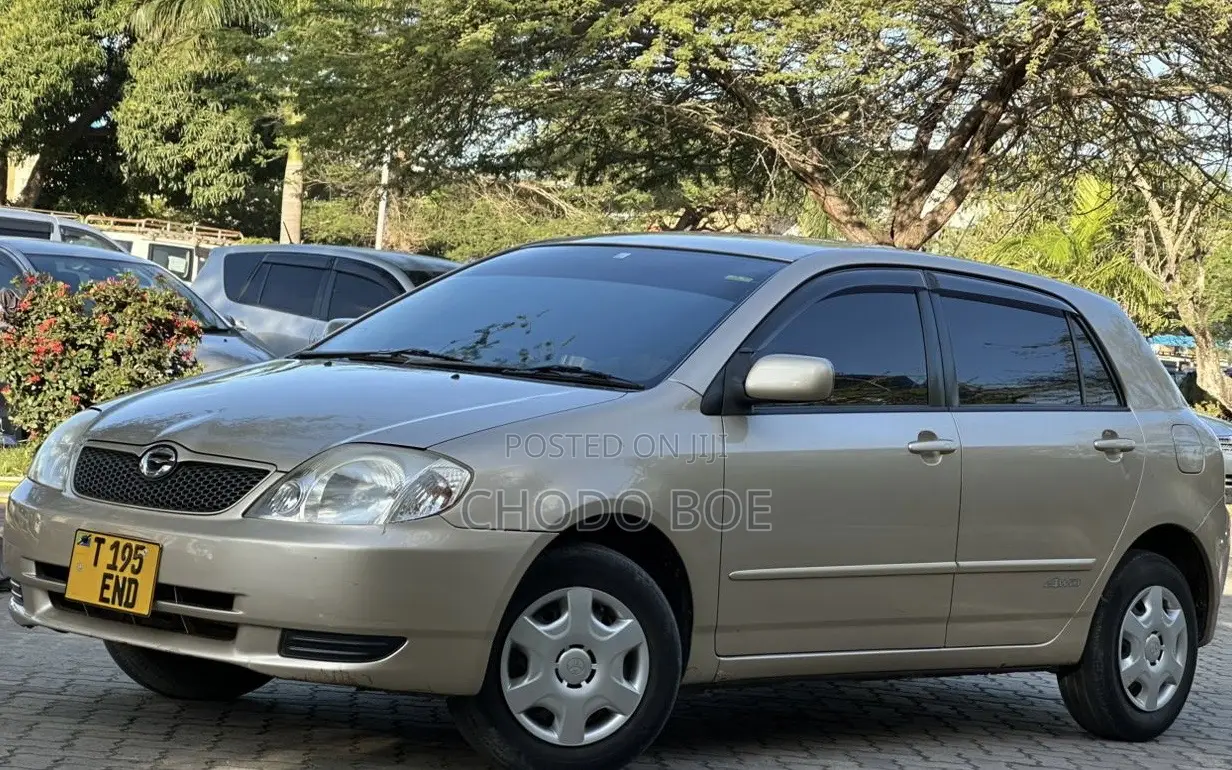 Toyota Allex 2004 Gold