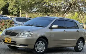 Toyota Allex 2004 Gold