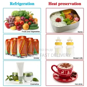 Portable Mini Car Fridge 4-Litres