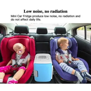 Portable Mini Car Fridge 4-Litres