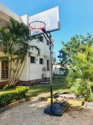 Basketball Hoops 10ft