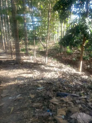 Kiwanja Kinauzwa Mbezi Kimara