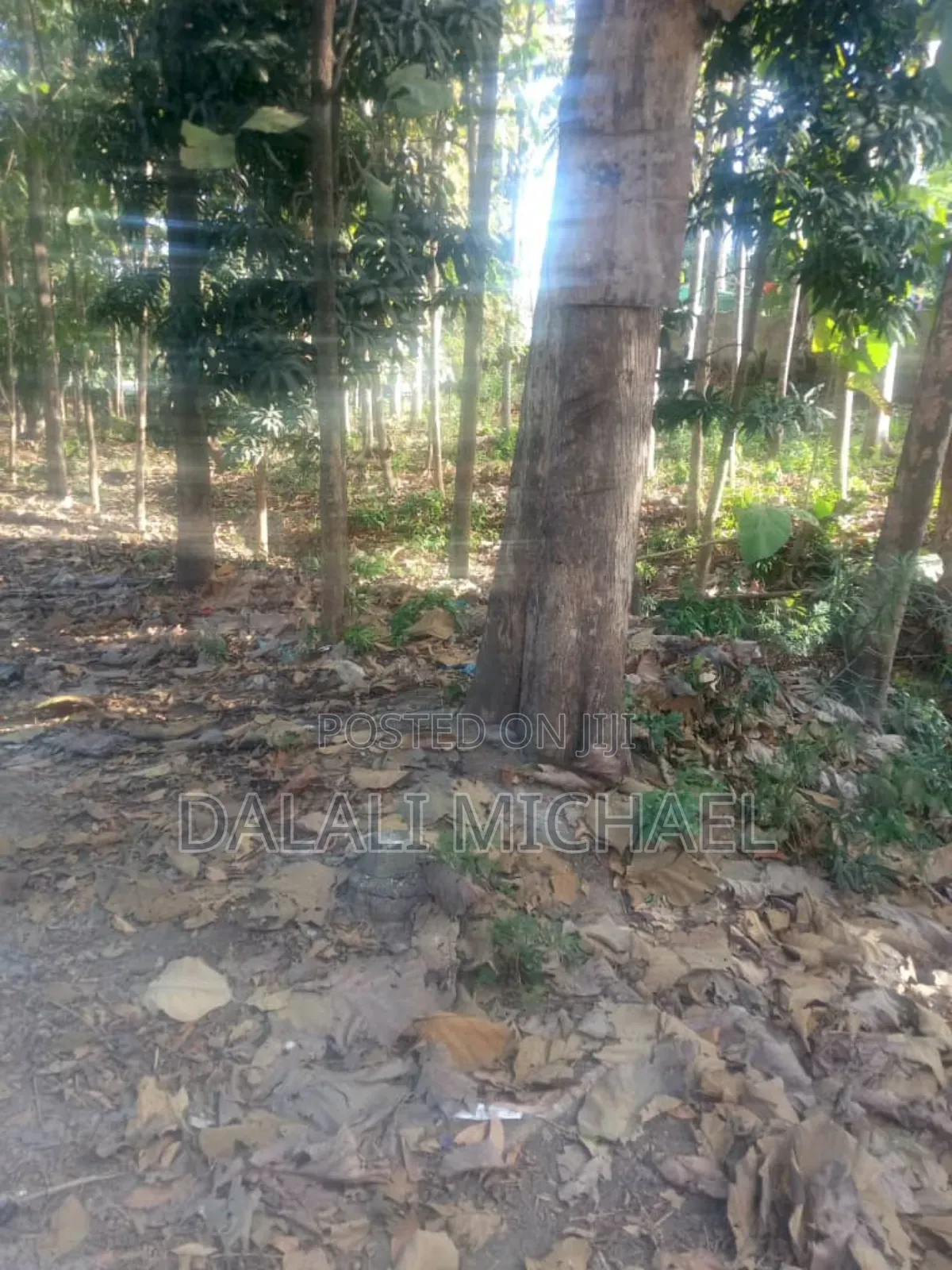 Kiwanja Kinauzwa Mbezi Kimara
