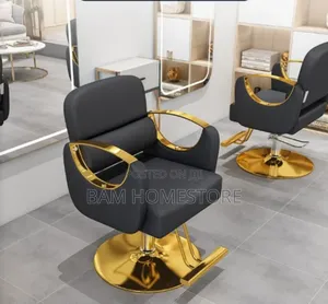 Modern Salon Chair / Barbershop Chair