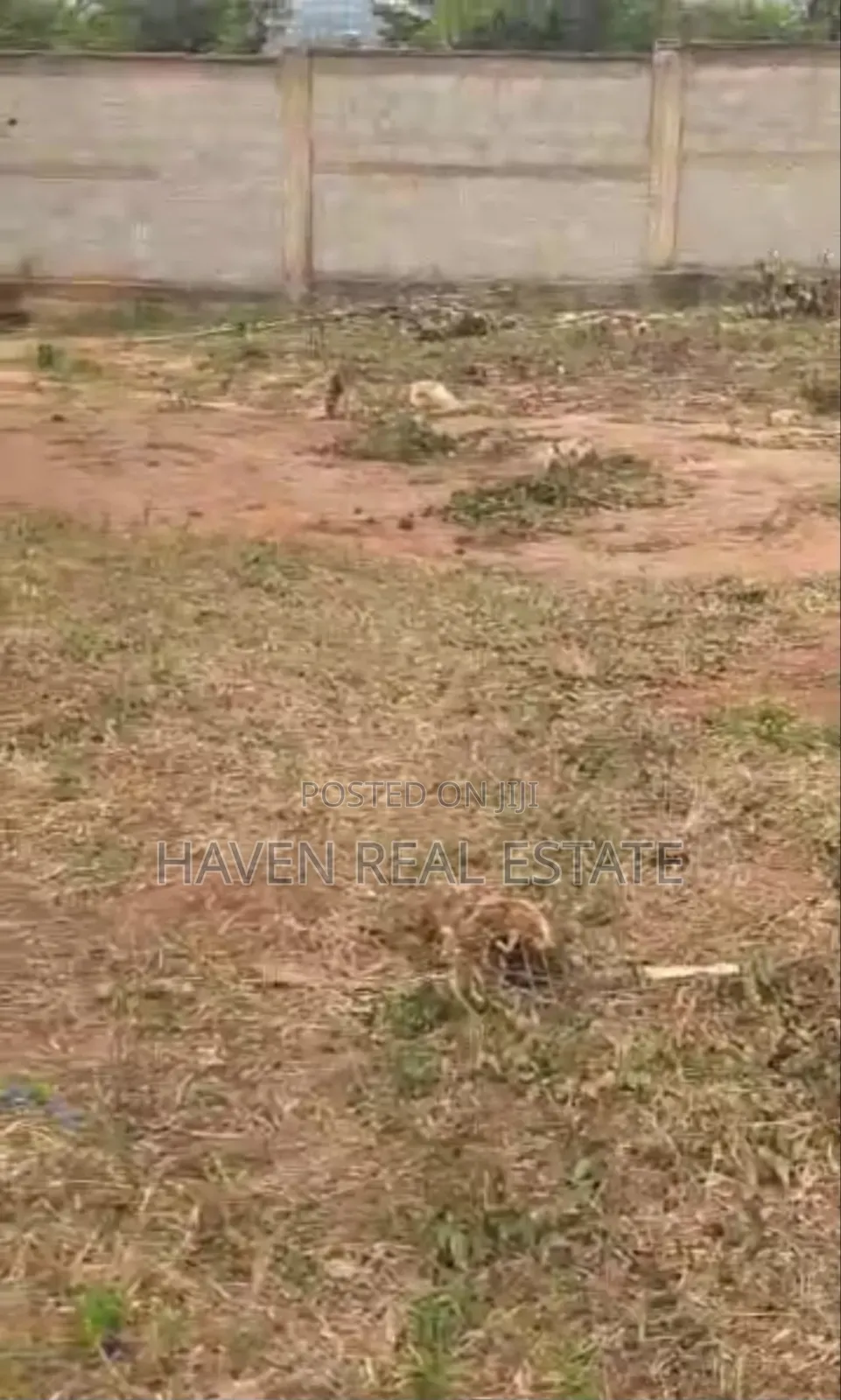 Eneo La Kibiashara Linauzwa Pugu Secondary