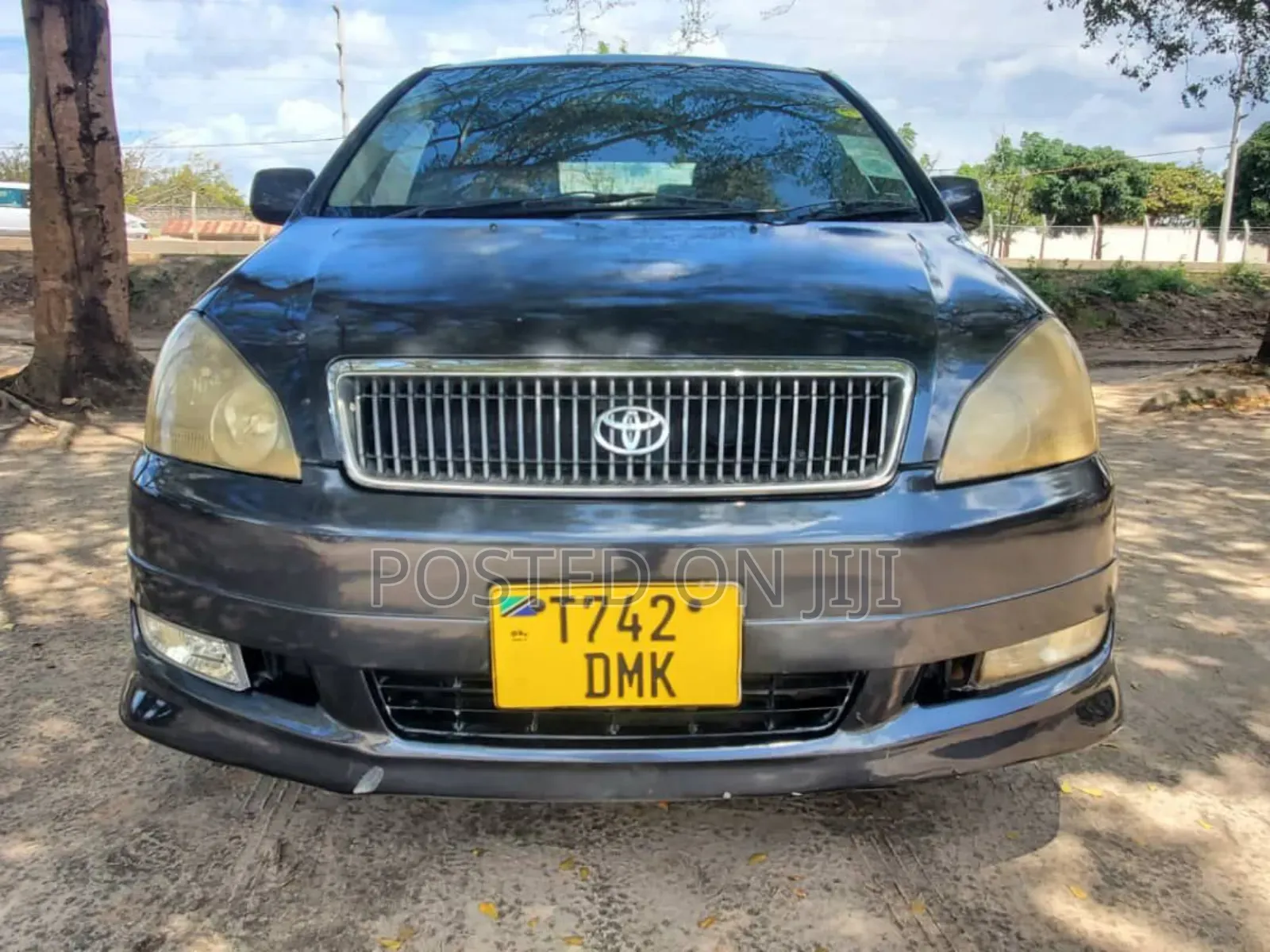 Toyota Ipsum 2004 Gray