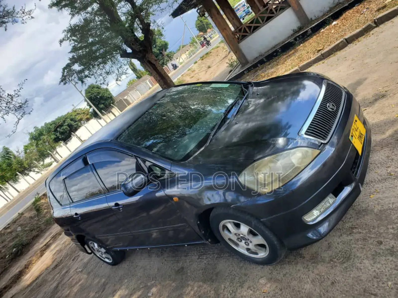 Toyota Ipsum 2004 Gray