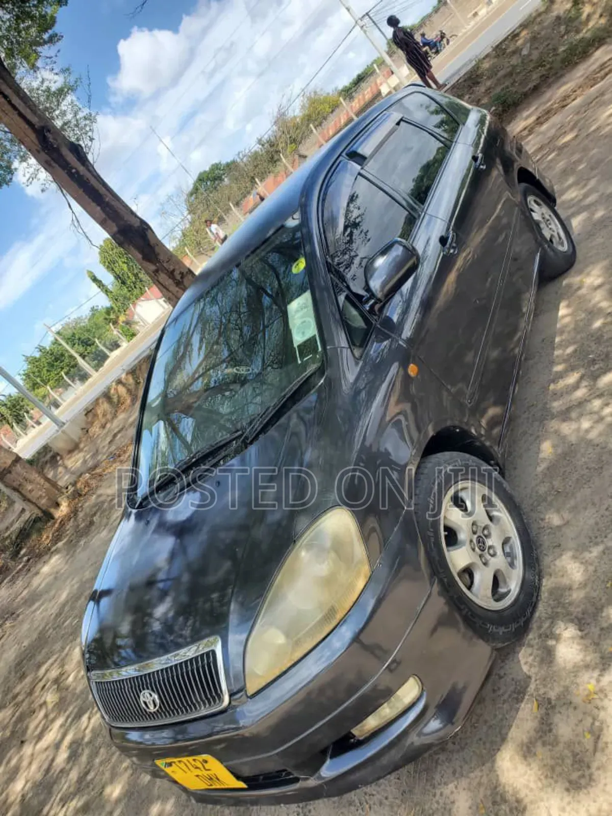 Toyota Ipsum 2004 Gray