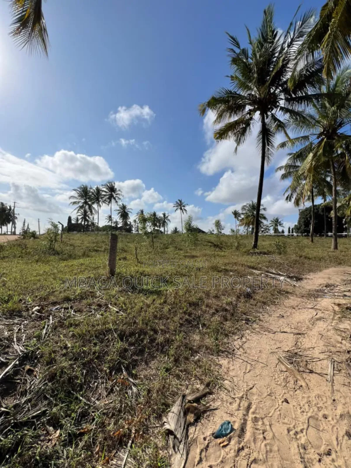 Corner Plot Area SQM 6604 for Sale at Mivumoni