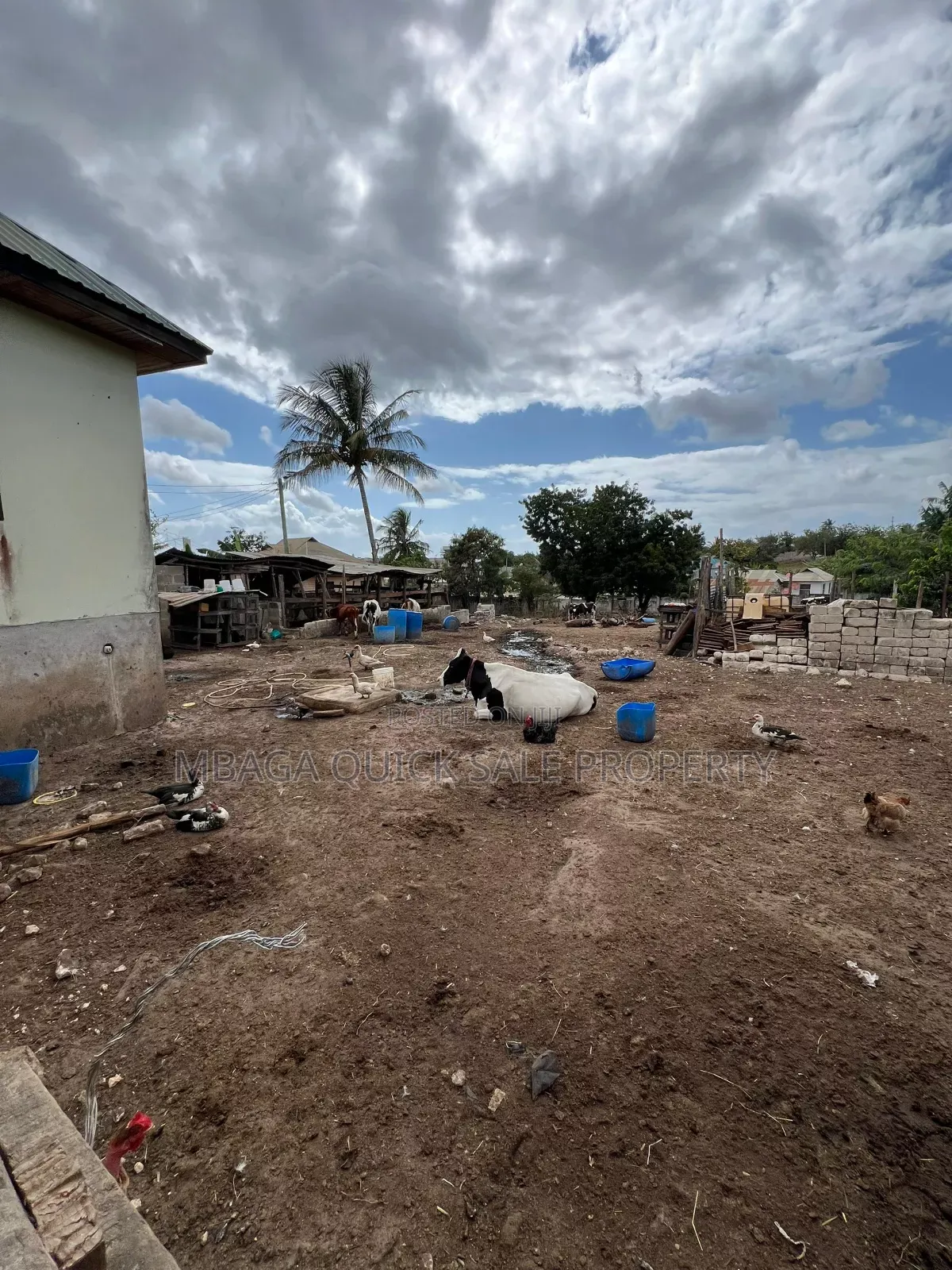 3bdrm House in Madale Kontena, Goba for sale