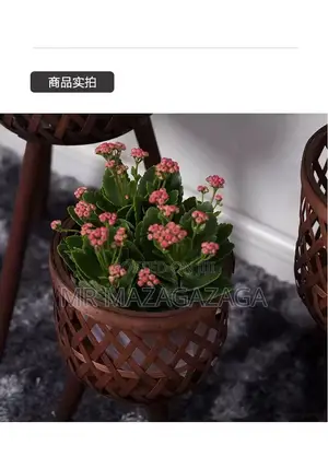 Flowers Pot 3pcs
