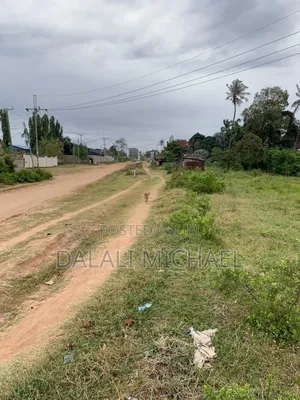 Eneo Linauzwa Salasala Iptl