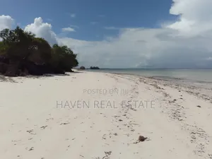 Beach Cliff for Sale at Zanzibar