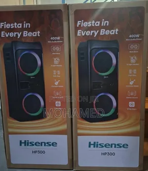 Hisense Party Speaker