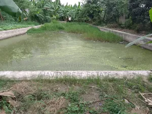 Bwawa La Samaki Linauzwa Ubungo River Side