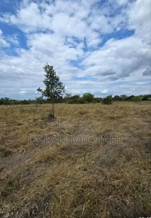 Shamba Linauzwa Bagamoyo Mwavi