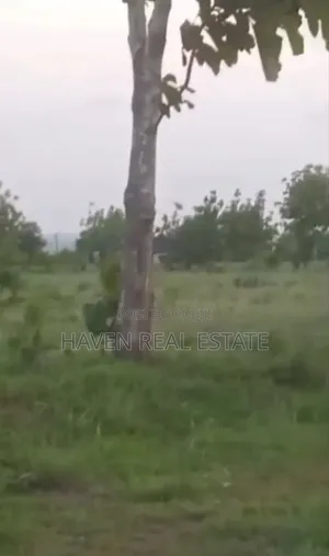 Shamba Linauzwa Bagamoyo
