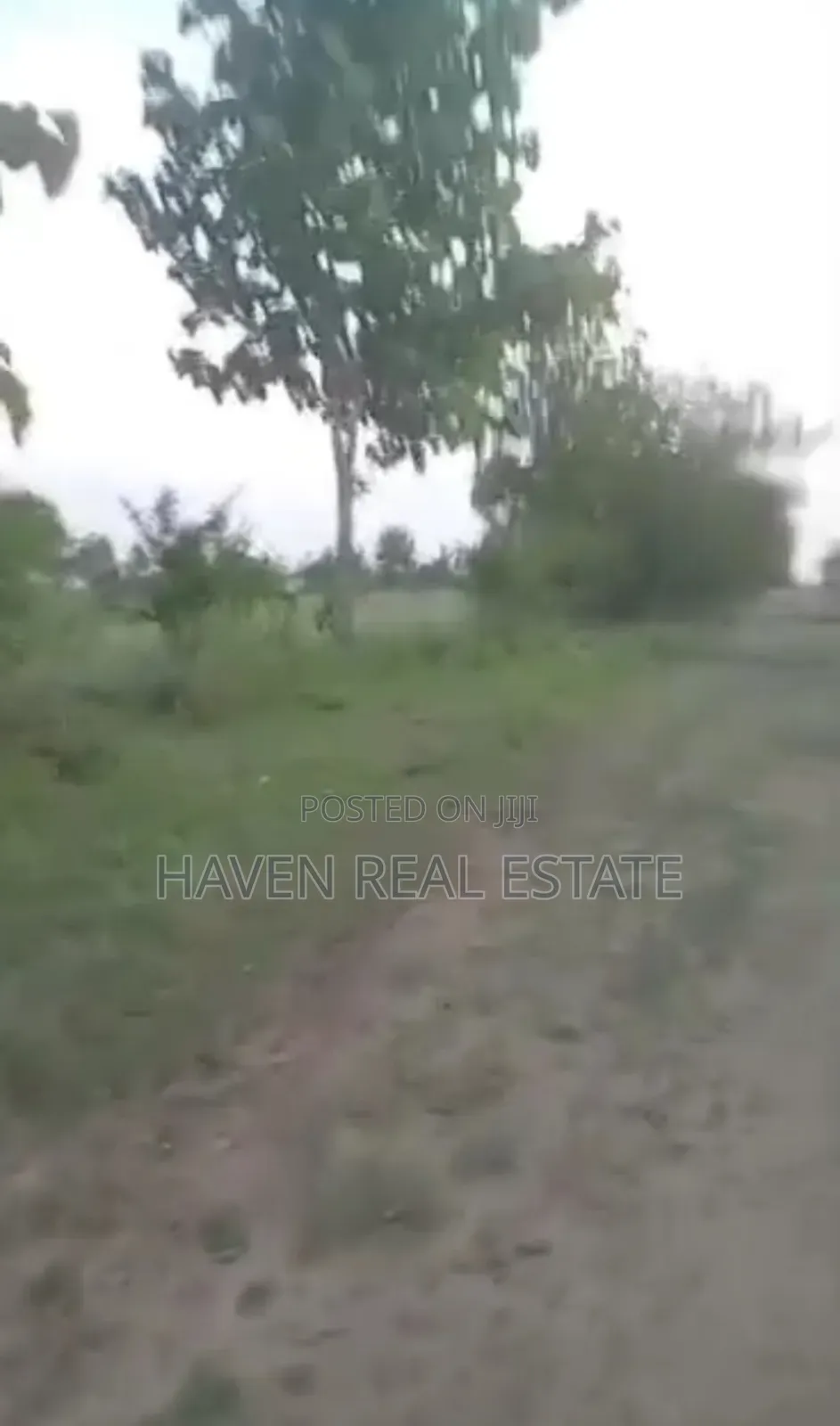Shamba Linauzwa Bagamoyo