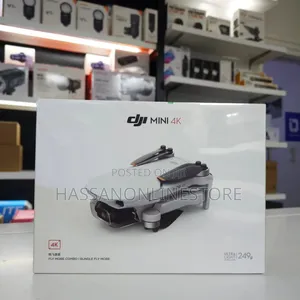 Dji Mini Flymore Combo Bundle