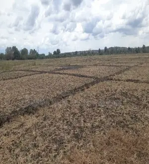 Cheap Shamba (Farm) for Sale River Ruvu Kwala-Vigwaza