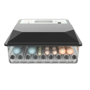 New 64 Eggs Incubator
