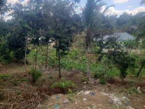 Eneo Lenye Ukubwa Wa SQMT 800 Linauzwa Lipo Goba Center (Sada Kalawe)