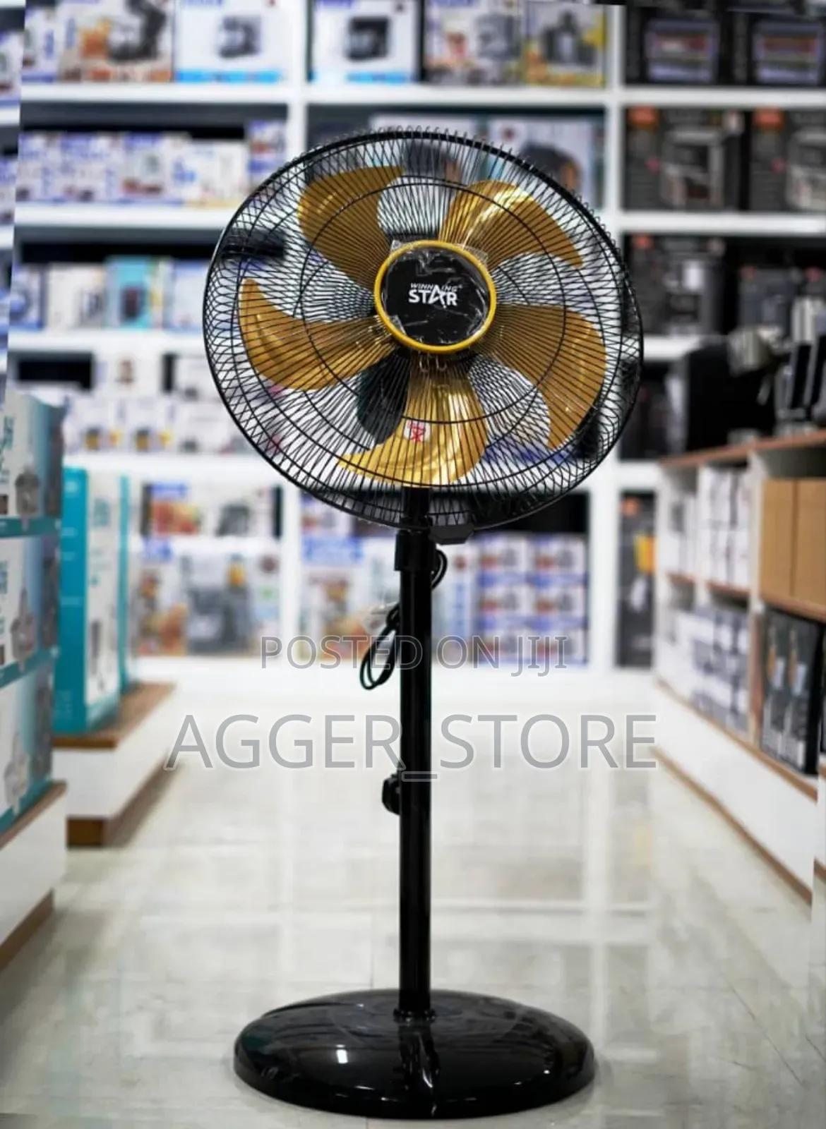 Winning Star Standing Fan 60w