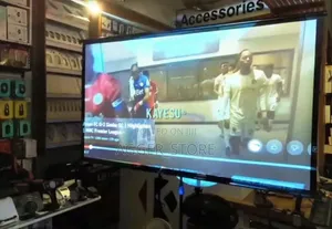 Projector Stand Screen 60 Inches