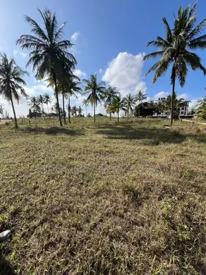 Cheap and Good Farm (Shamba) for Sale Near Sigi River Tanga