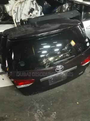 Toyota Wish Backdoor