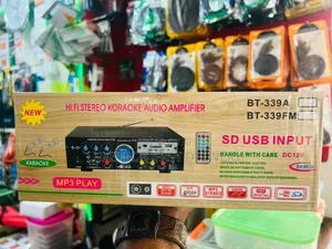 Hi-Fi Stereo Karaoke Audio Amplifier